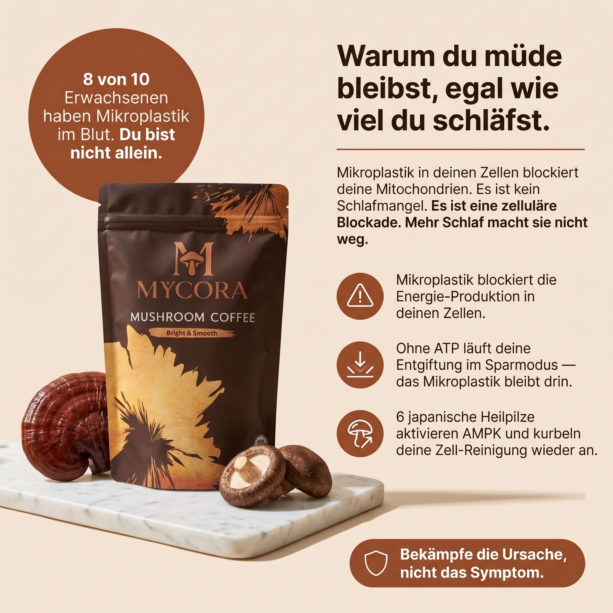 MYCORA™ Pilzkaffee | für gesunde Mitochondrien