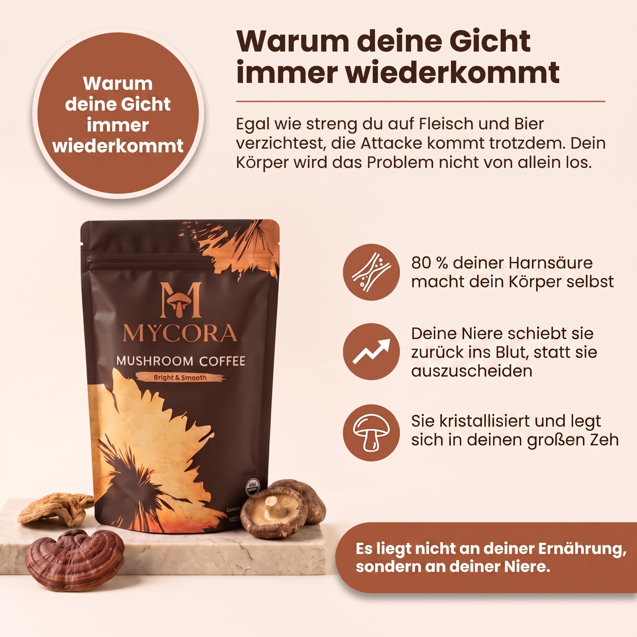 MYCORA™ Pilzkaffee