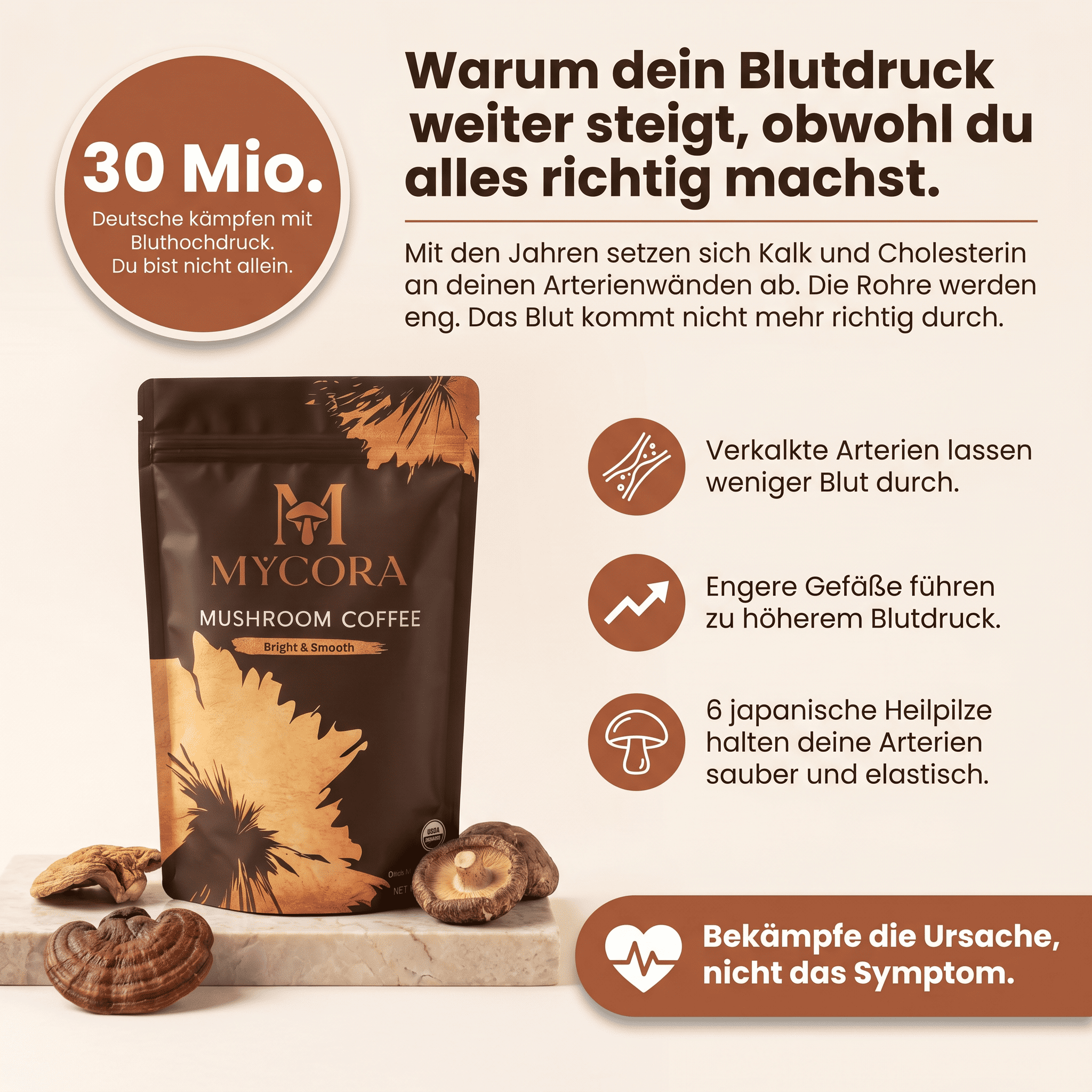 MYCORA™ Pilzkaffee | für gute Blutdruckwerte