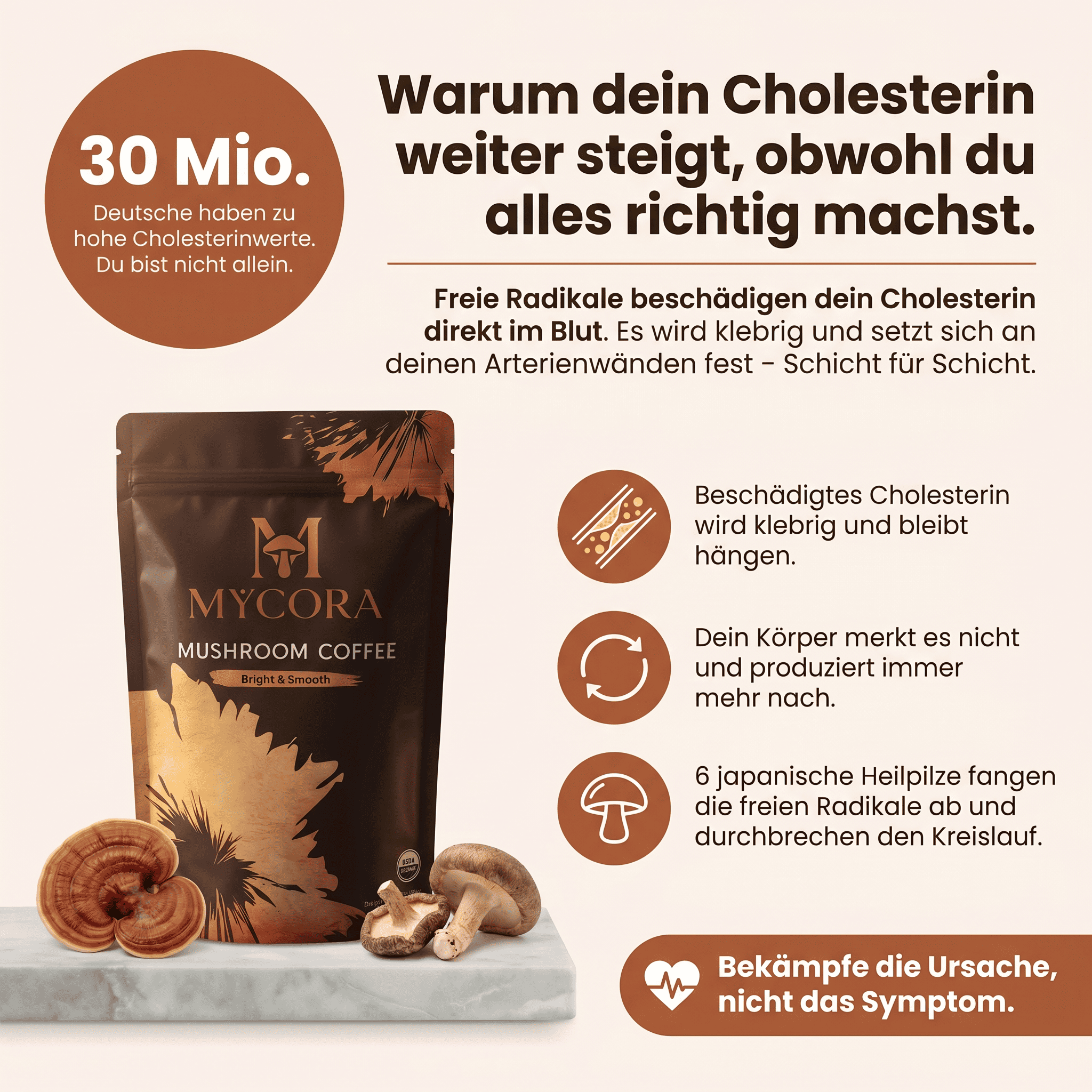 MYCORA™ Pilzkaffee | für gesunde Cholesterinwerte