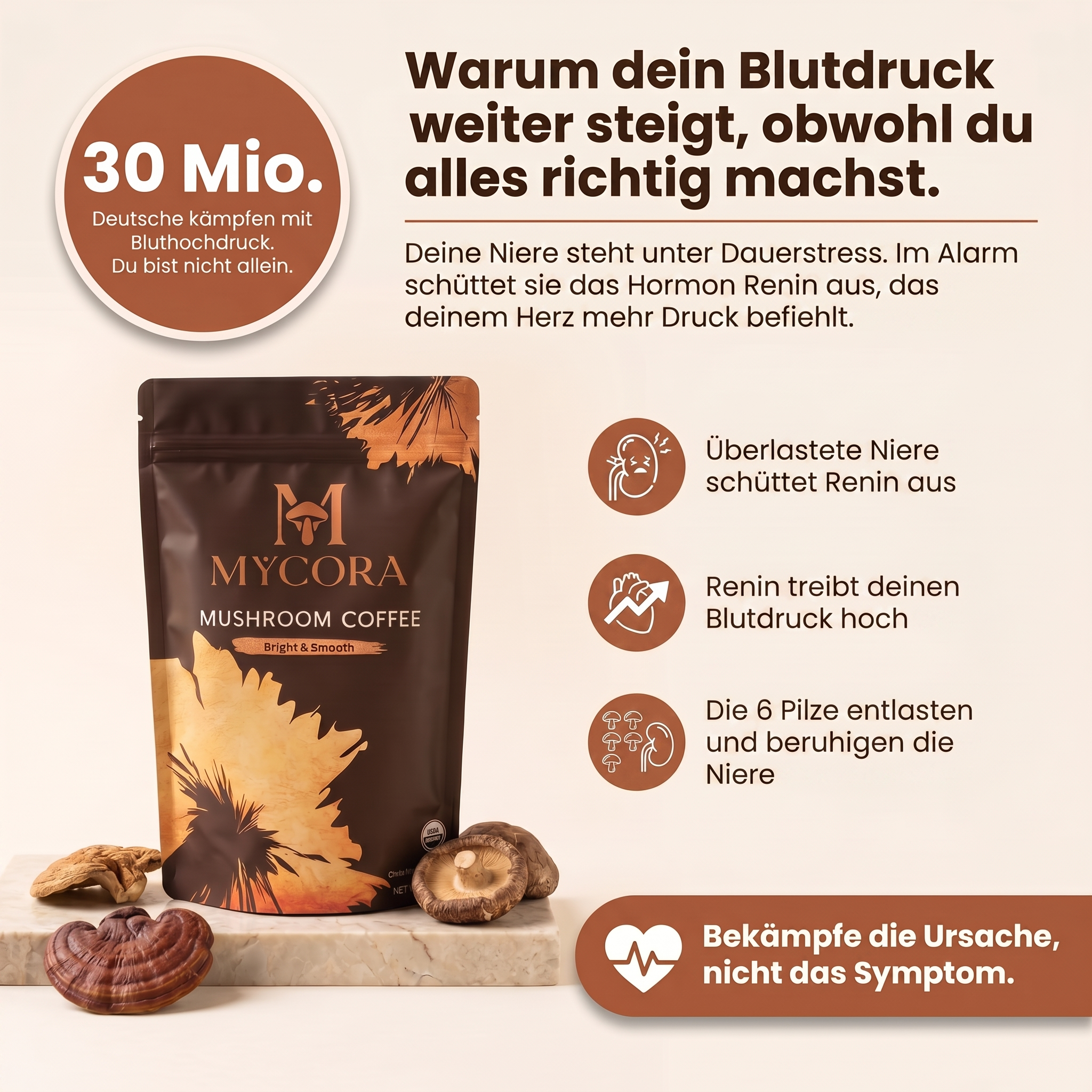 MYCORA™ Pilzkaffee Nieren