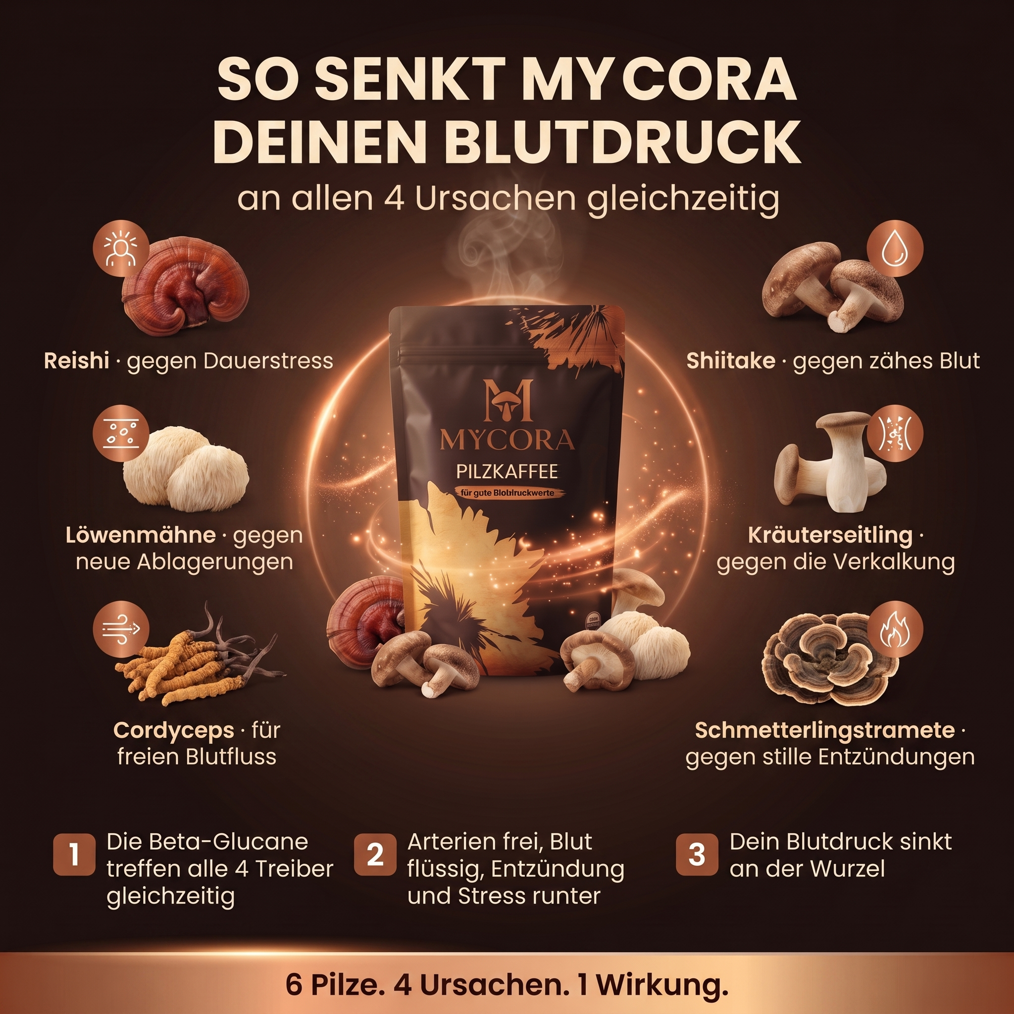 MYCORA™ Pilzkaffee