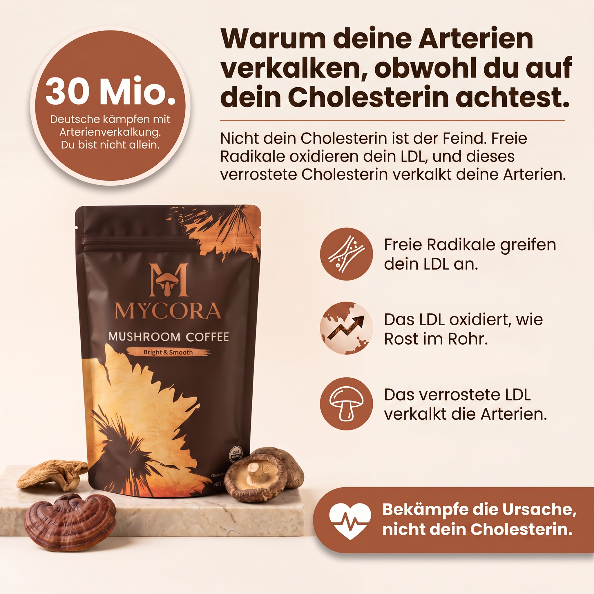 MYCORA™ Pilzkaffee